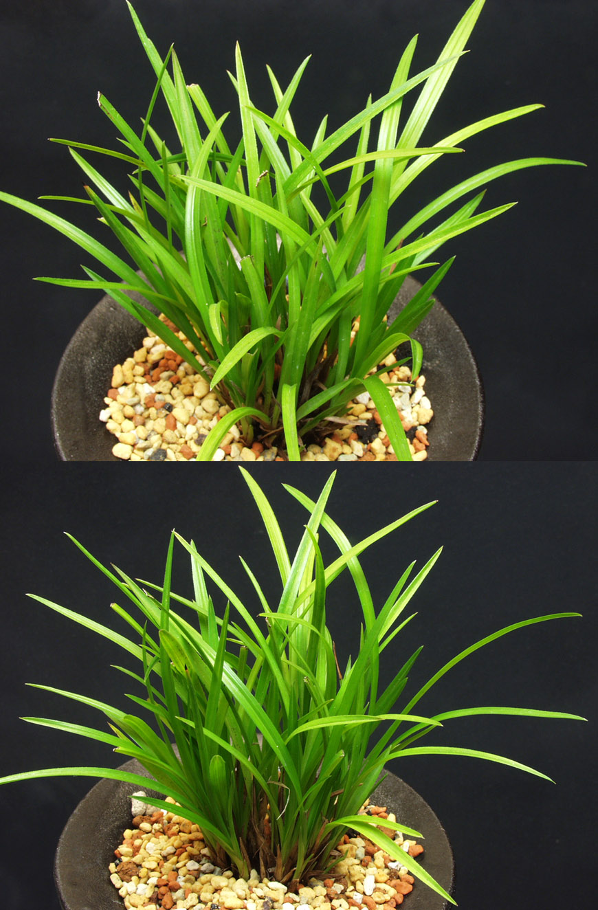 ������ ū������ �� �� �ֽ��ϴ�.