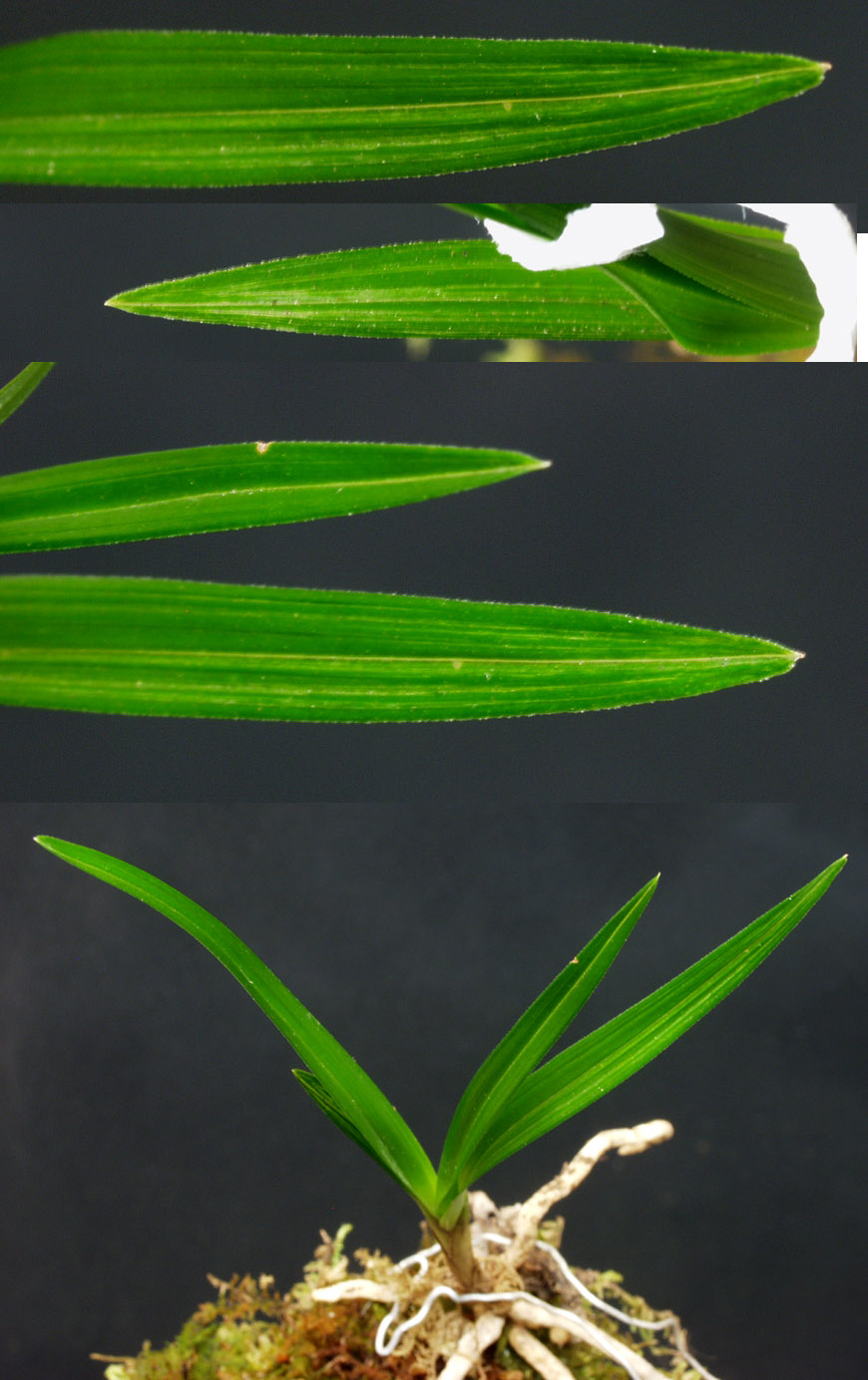 ������ ū������ �� �� �ֽ��ϴ�.