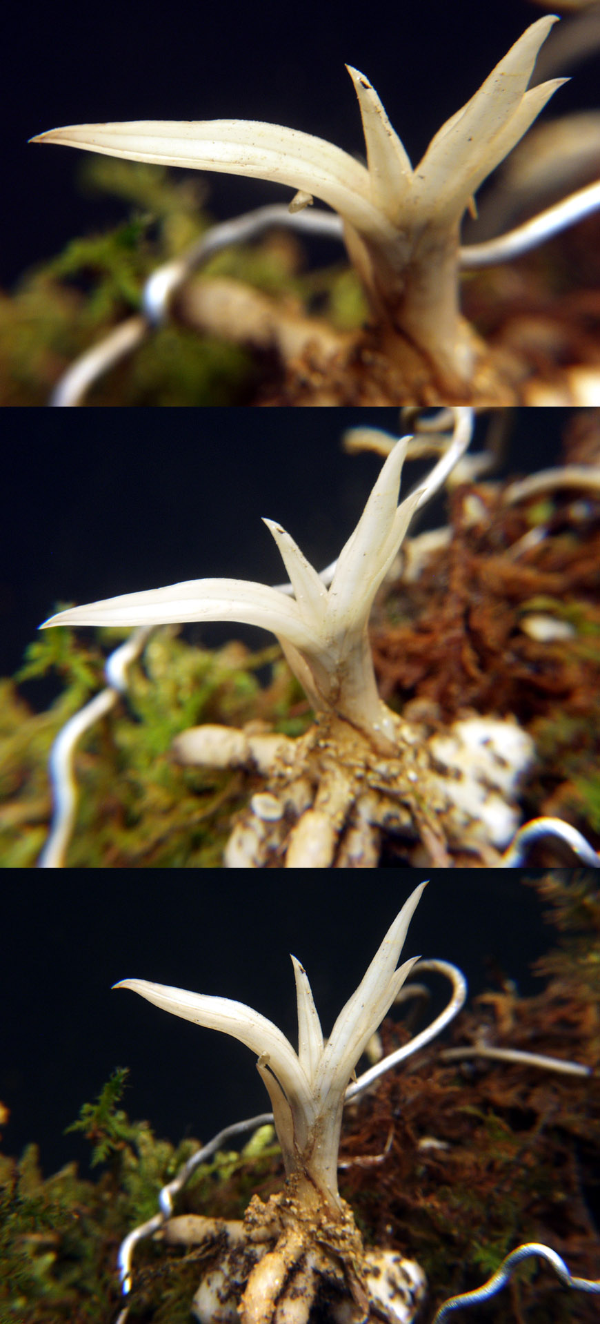 ������ ū������ �� �� �ֽ��ϴ�.