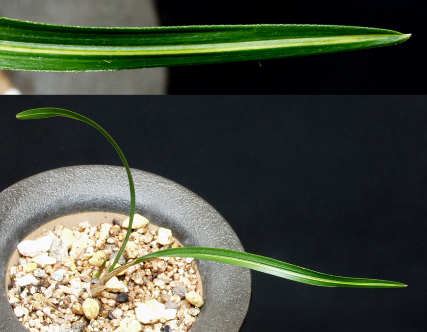 ������ ū������ �� �� �ֽ��ϴ�.