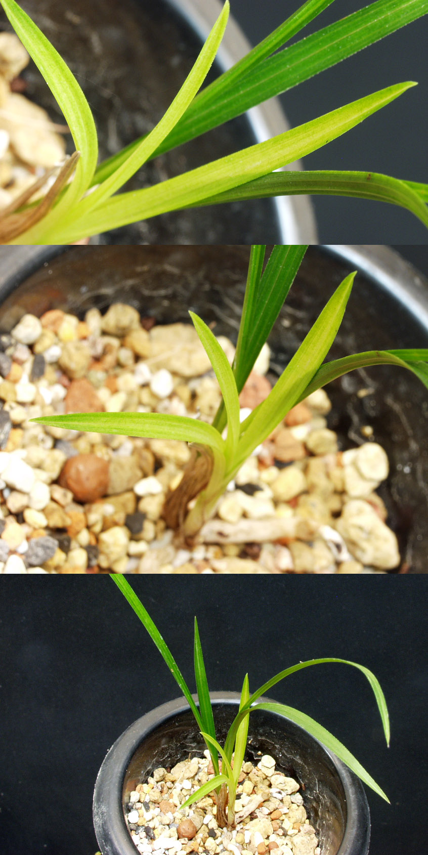 ������ ū������ �� �� �ֽ��ϴ�.