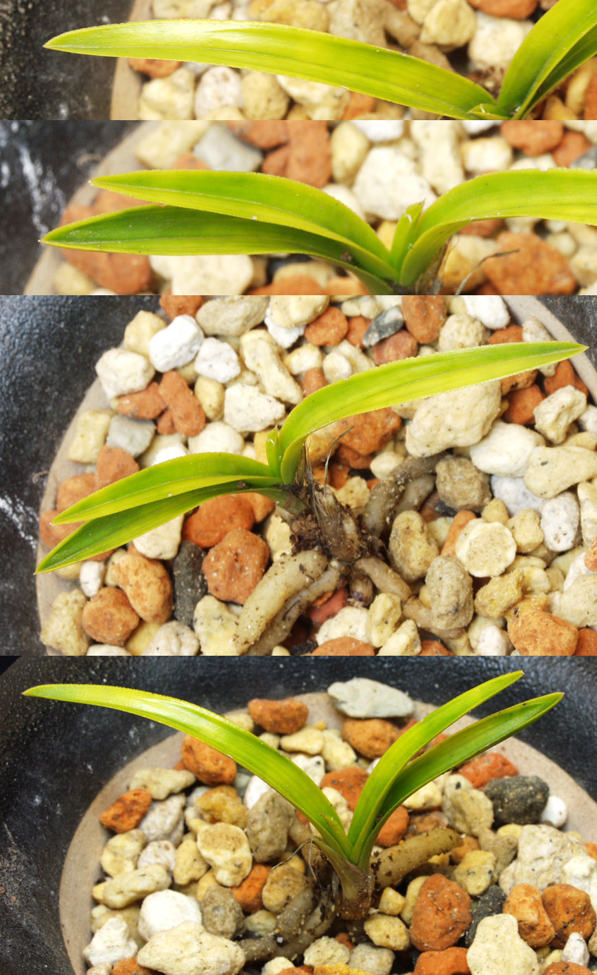 ������ ū������ �� �� �ֽ��ϴ�.