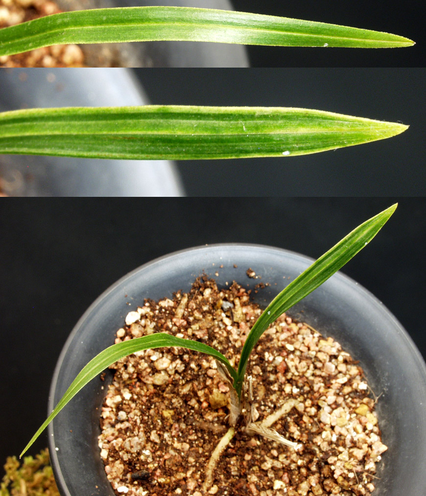 ������ ū������ �� �� �ֽ��ϴ�.