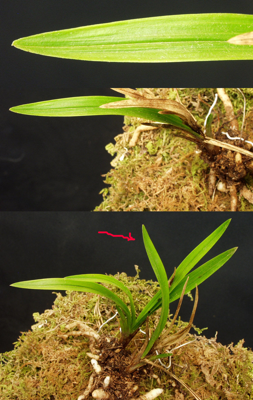 ������ ū������ �� �� �ֽ��ϴ�.