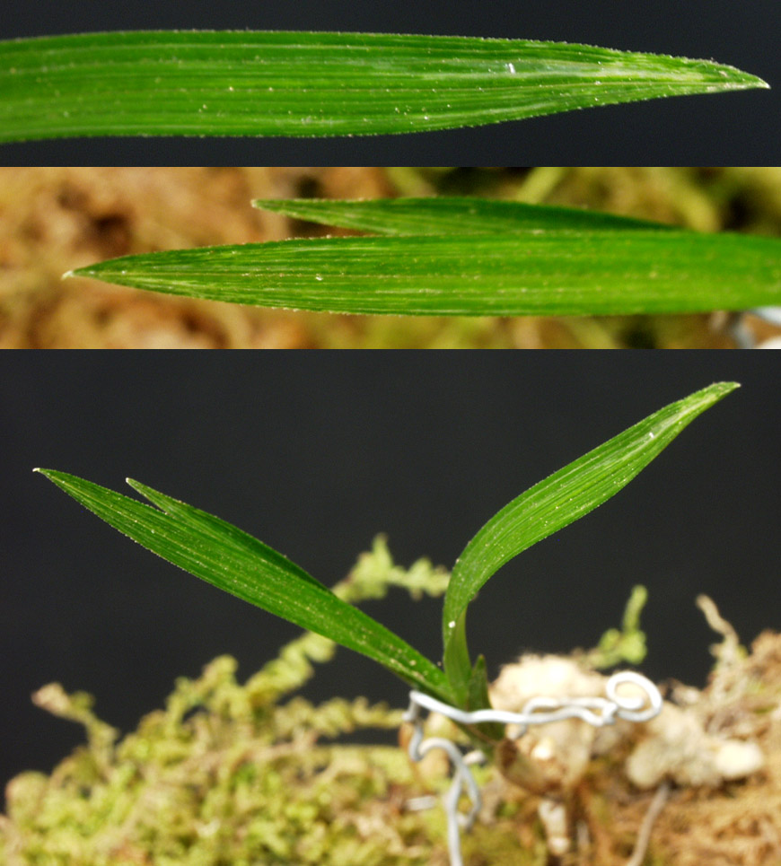 ������ ū������ �� �� �ֽ��ϴ�.