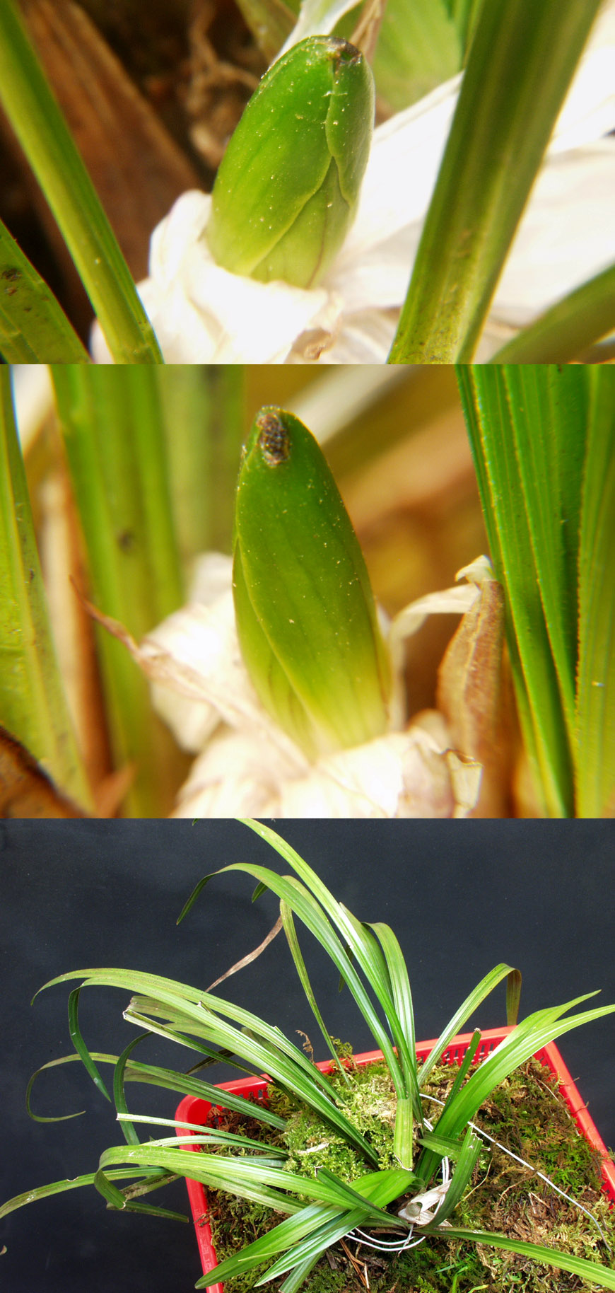 ������ ū������ �� �� �ֽ��ϴ�.