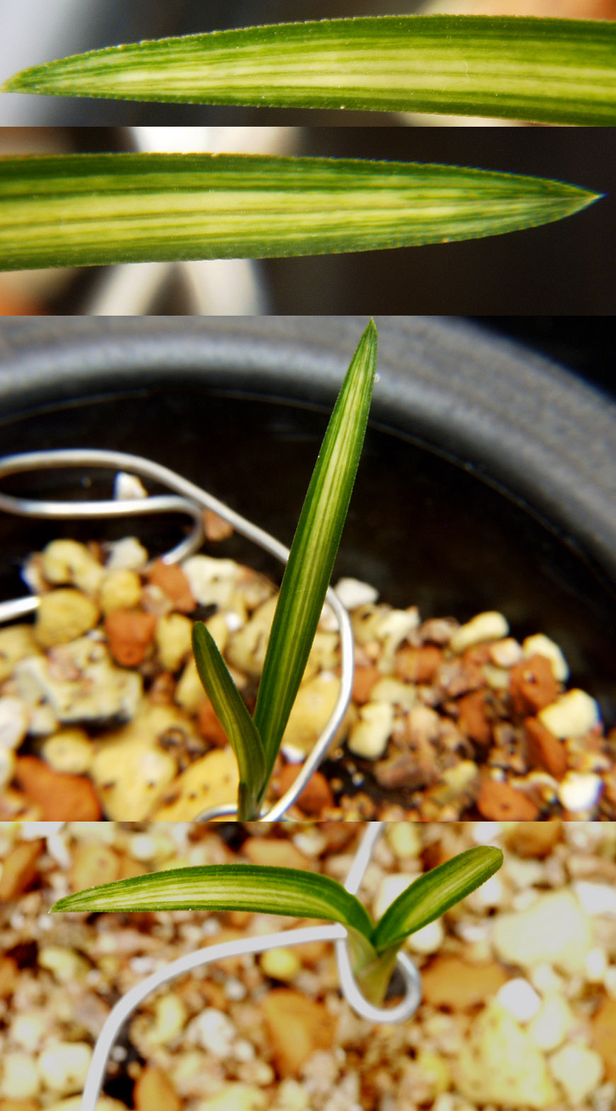 ������ ū������ �� �� �ֽ��ϴ�.