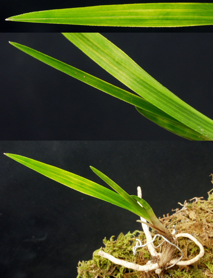 ������ ū������ �� �� �ֽ��ϴ�.