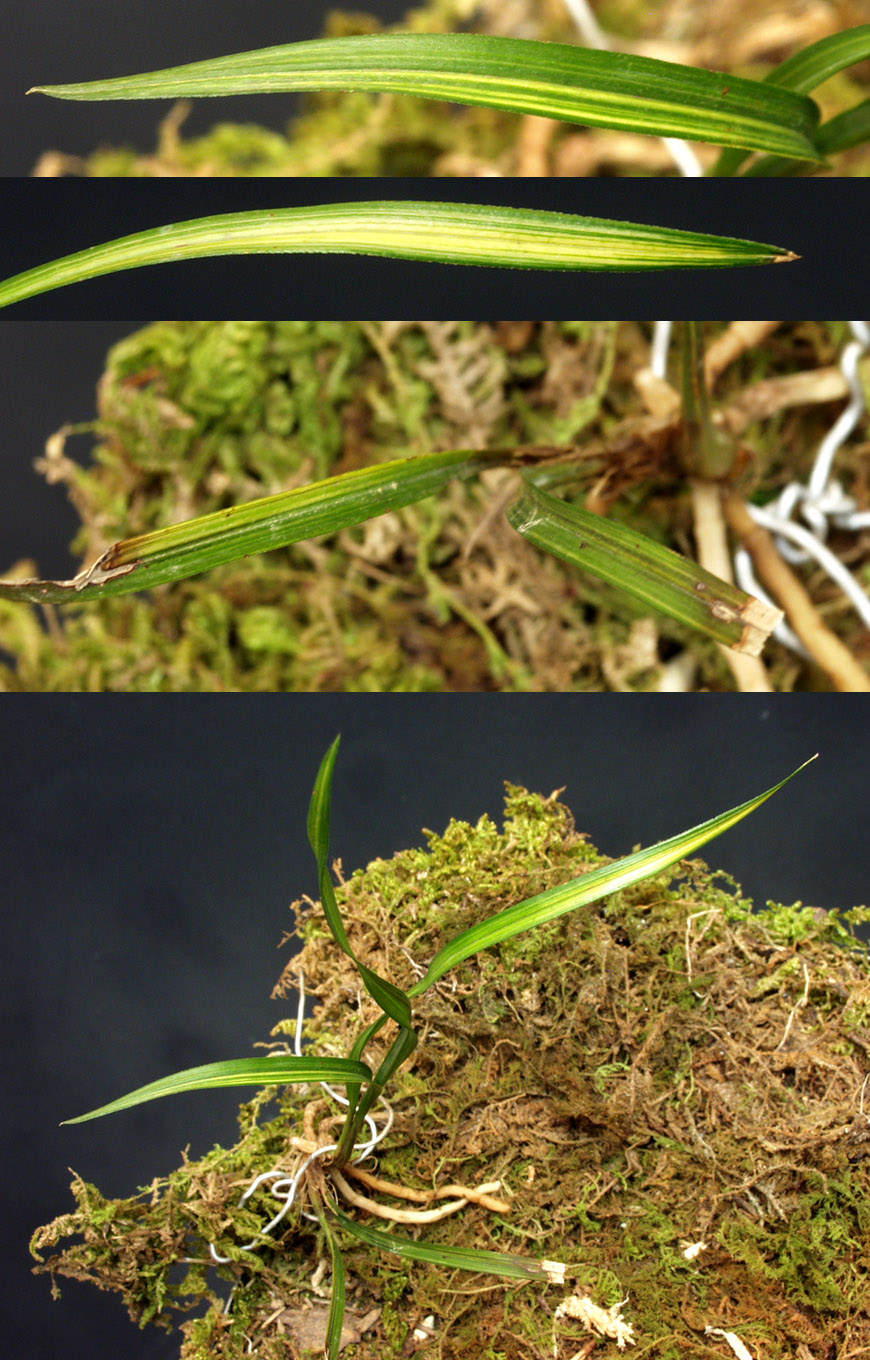 ������ ū������ �� �� �ֽ��ϴ�.