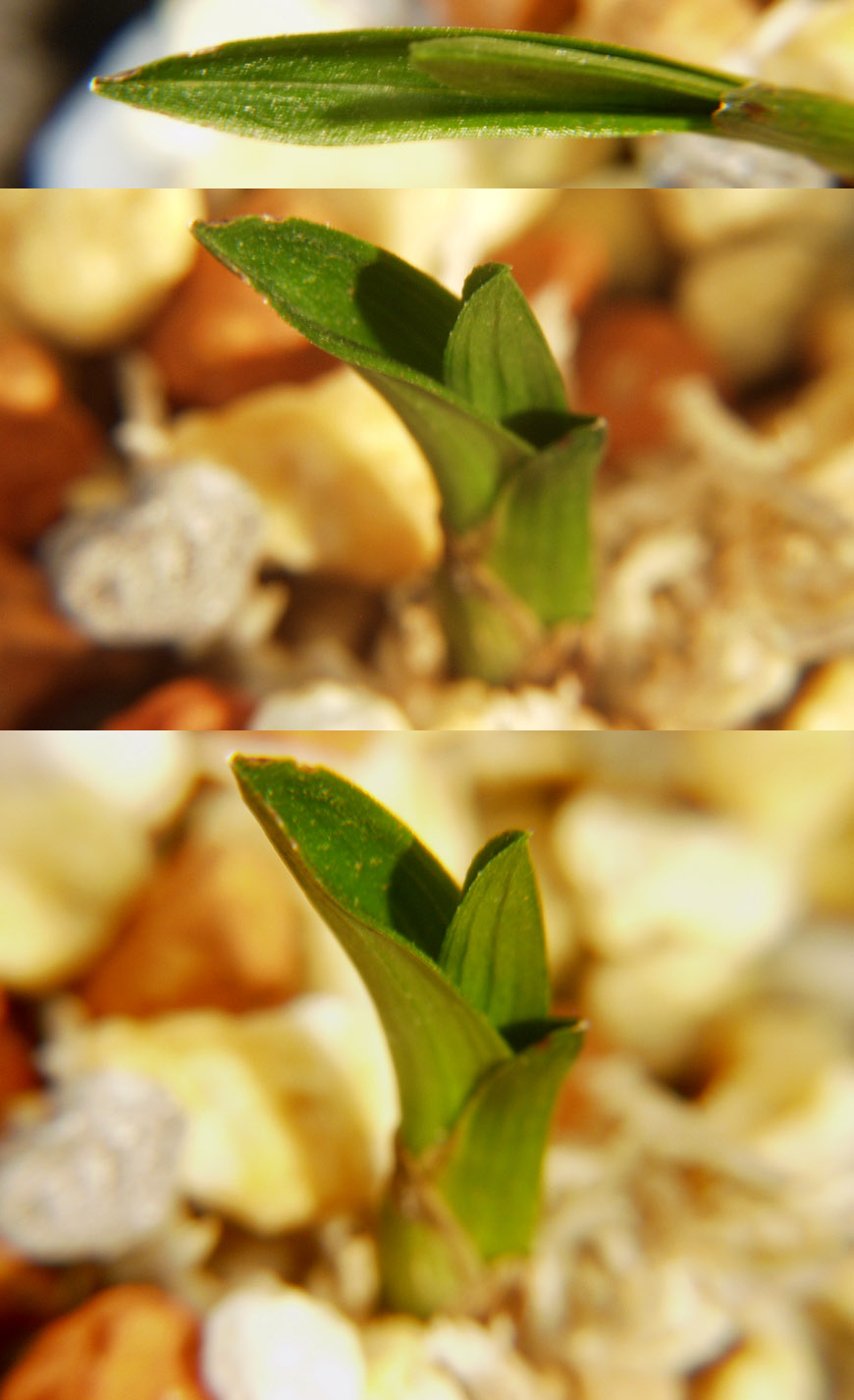 ������ ū������ �� �� �ֽ��ϴ�.