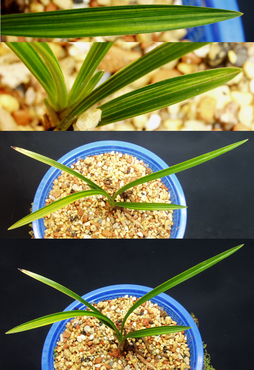 ������ ū������ �� �� �ֽ��ϴ�.