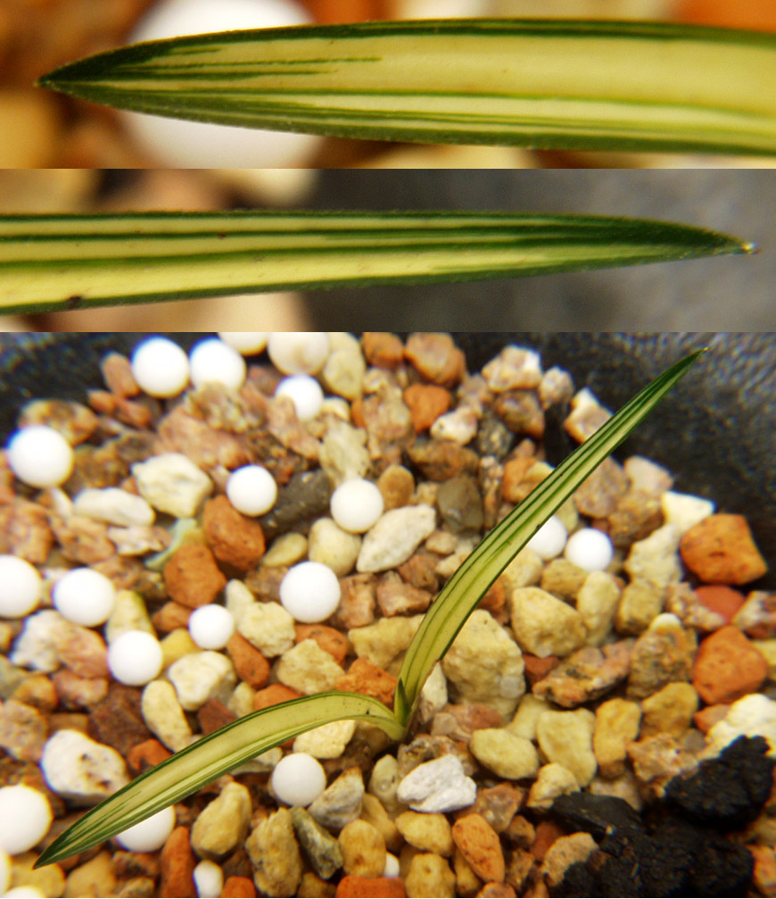 ������ ū������ �� �� �ֽ��ϴ�.