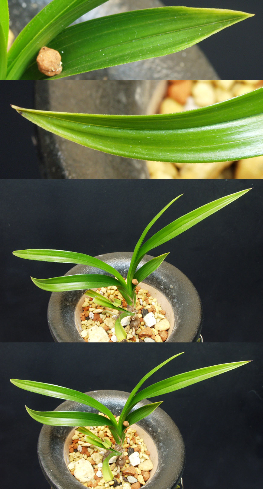 ������ ū������ �� �� �ֽ��ϴ�.