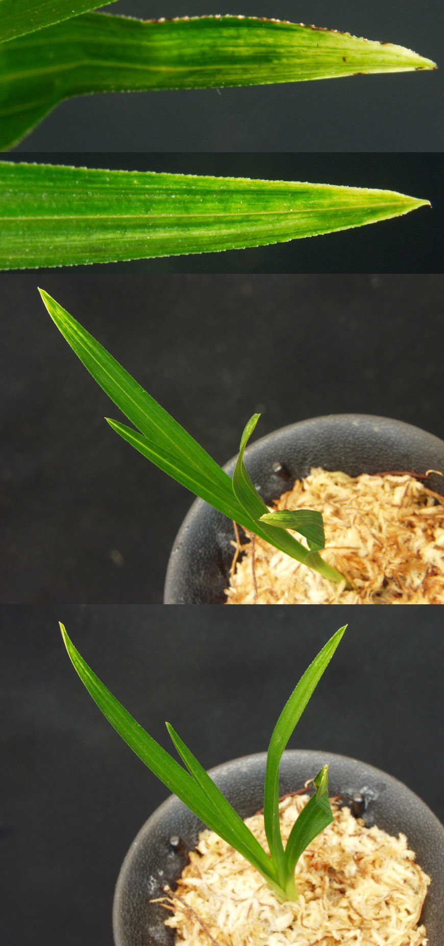 ������ ū������ �� �� �ֽ��ϴ�.