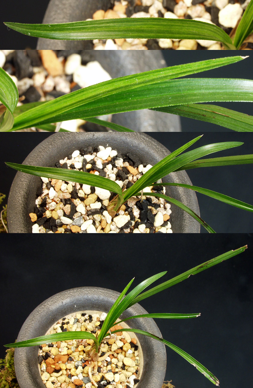 ������ ū������ �� �� �ֽ��ϴ�.