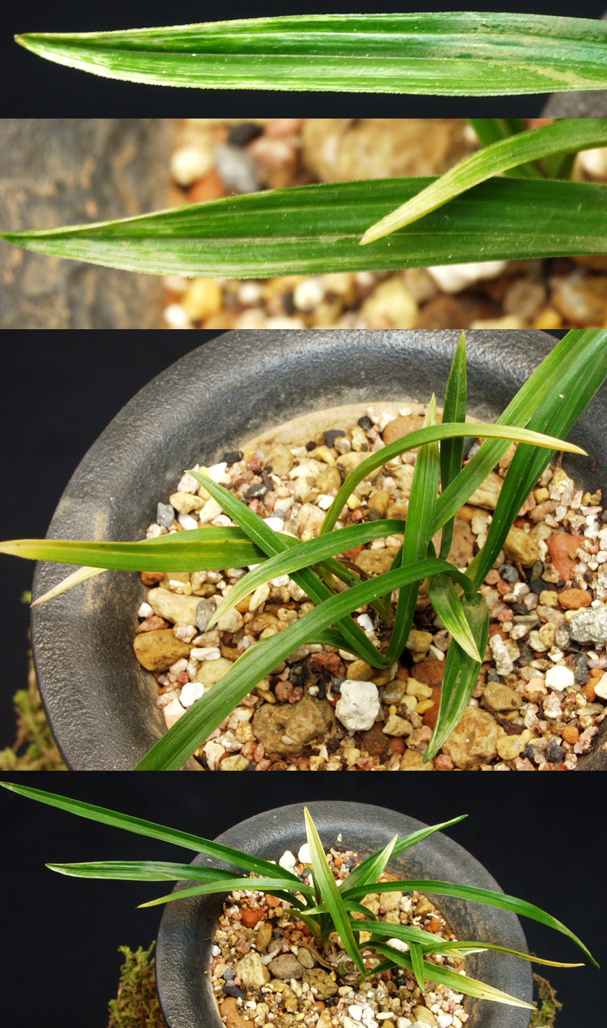 ������ ū������ �� �� �ֽ��ϴ�.