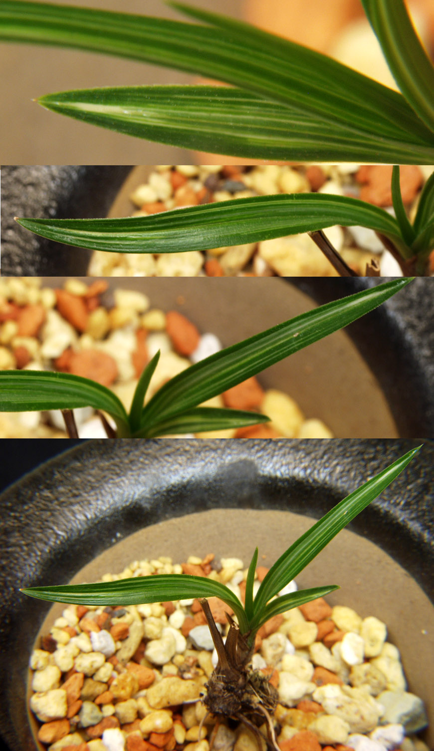 ������ ū������ �� �� �ֽ��ϴ�.