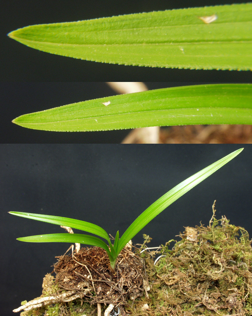 ������ ū������ �� �� �ֽ��ϴ�.