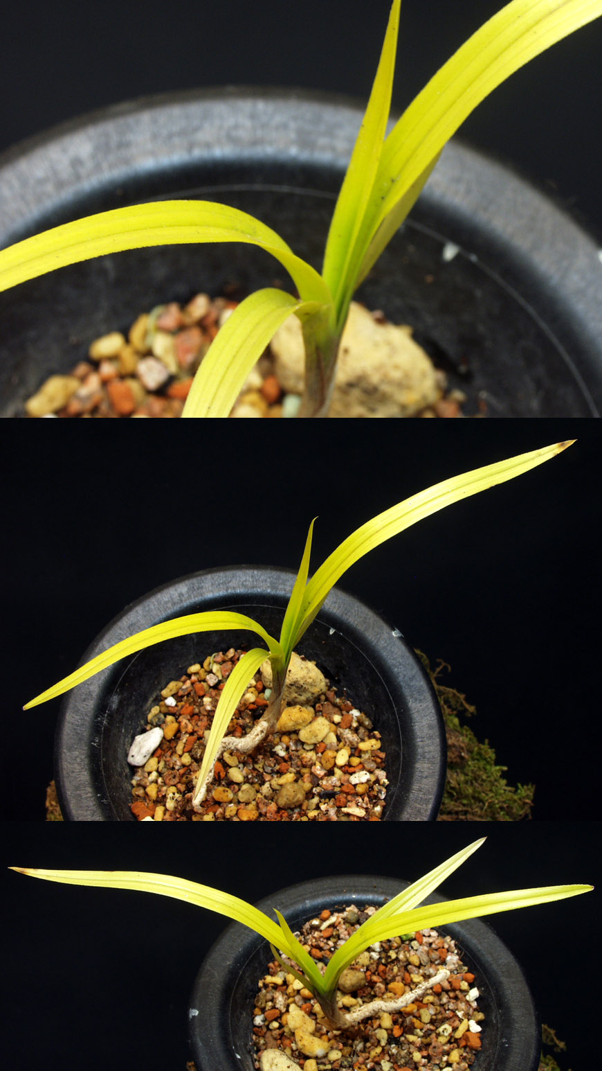 ������ ū������ �� �� �ֽ��ϴ�.