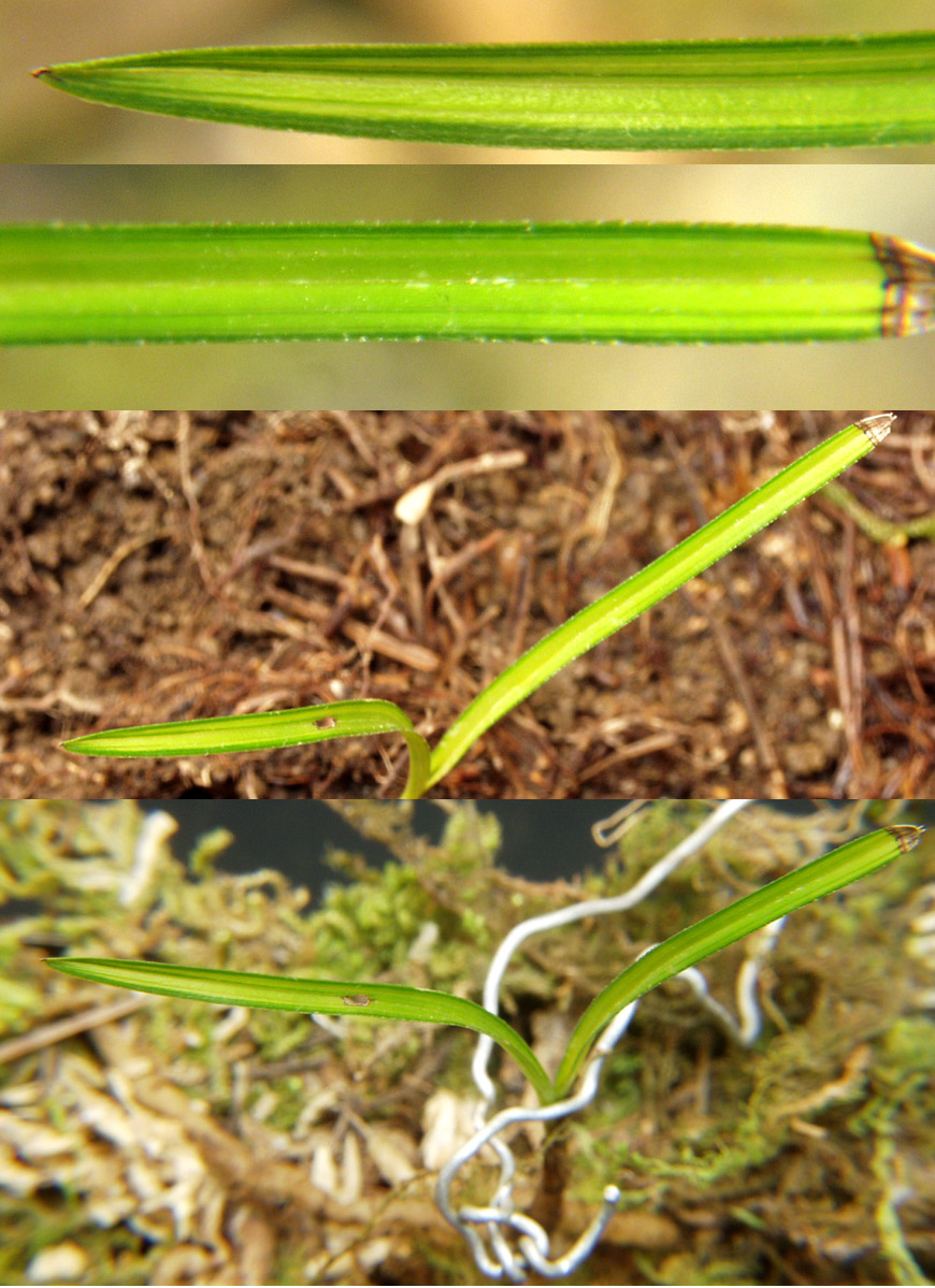 ������ ū������ �� �� �ֽ��ϴ�.