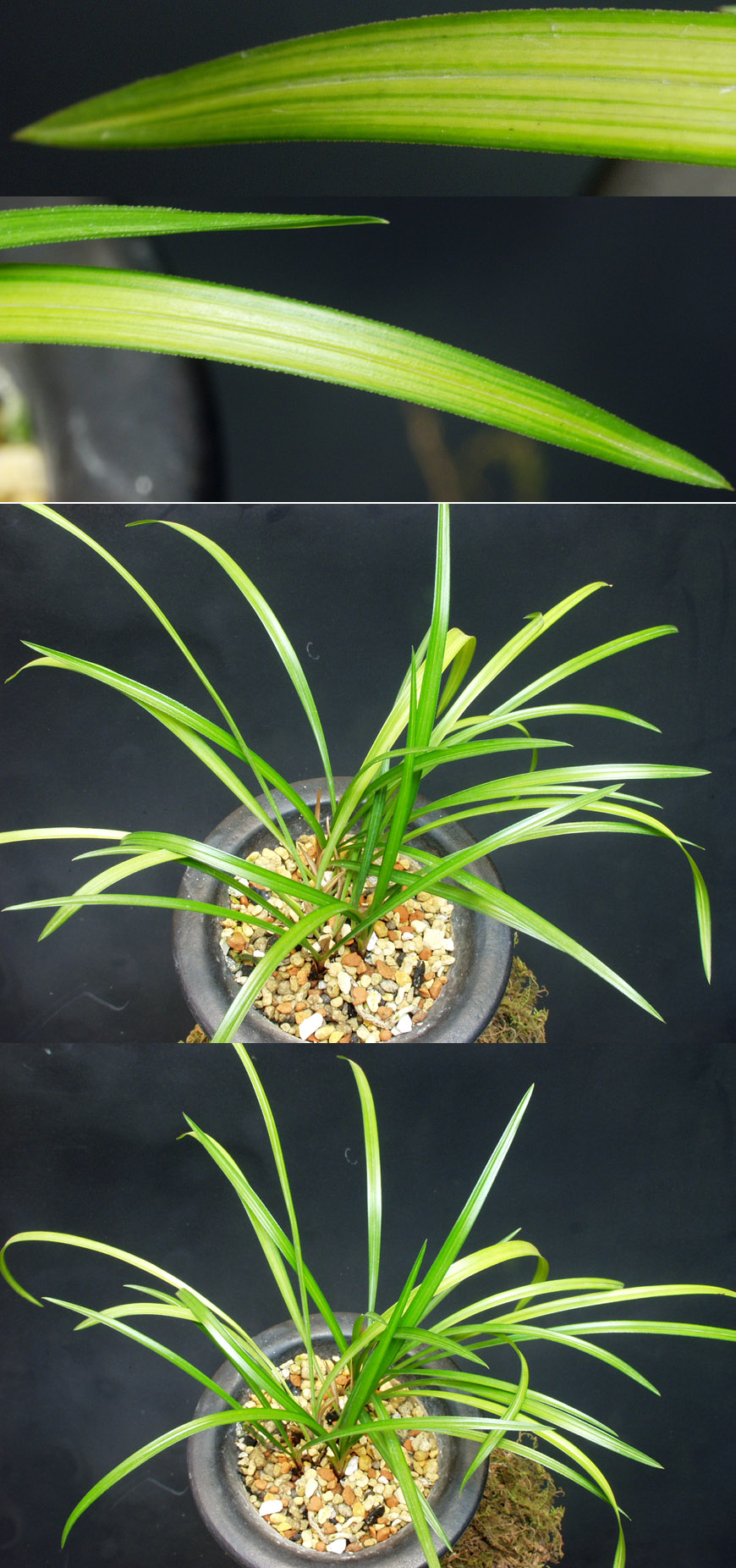 ������ ū������ �� �� �ֽ��ϴ�.