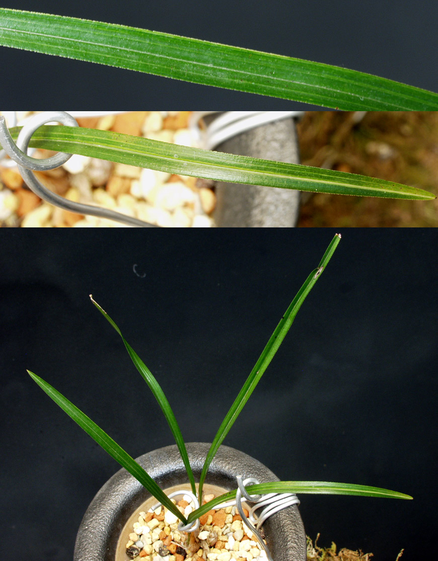 ������ ū������ �� �� �ֽ��ϴ�.