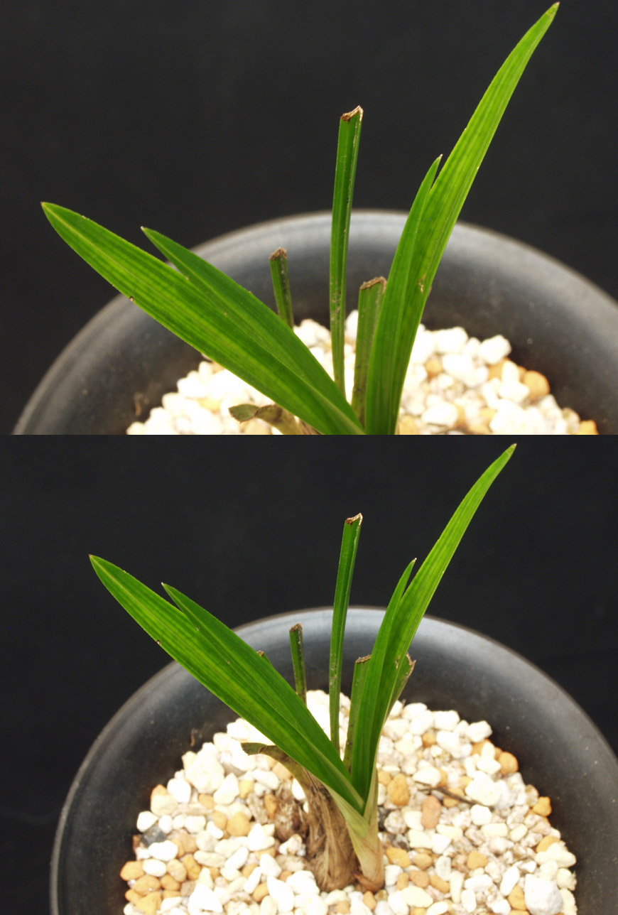 ������ ū������ �� �� �ֽ��ϴ�.