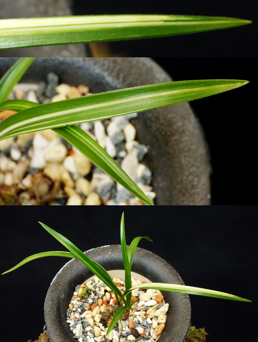 ������ ū������ �� �� �ֽ��ϴ�.