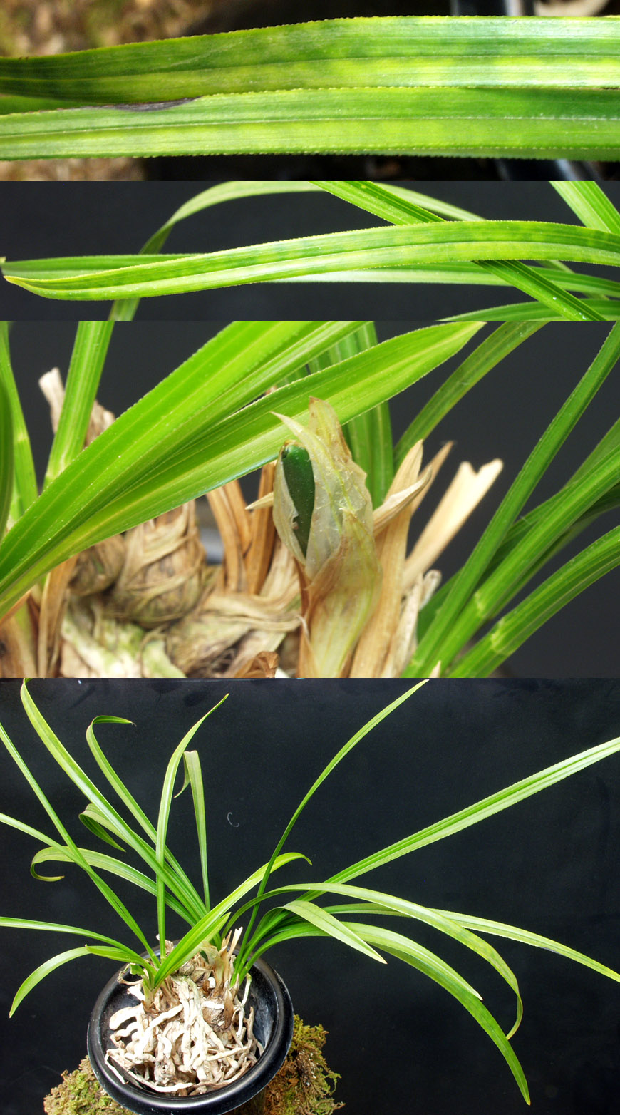 ������ ū������ �� �� �ֽ��ϴ�.