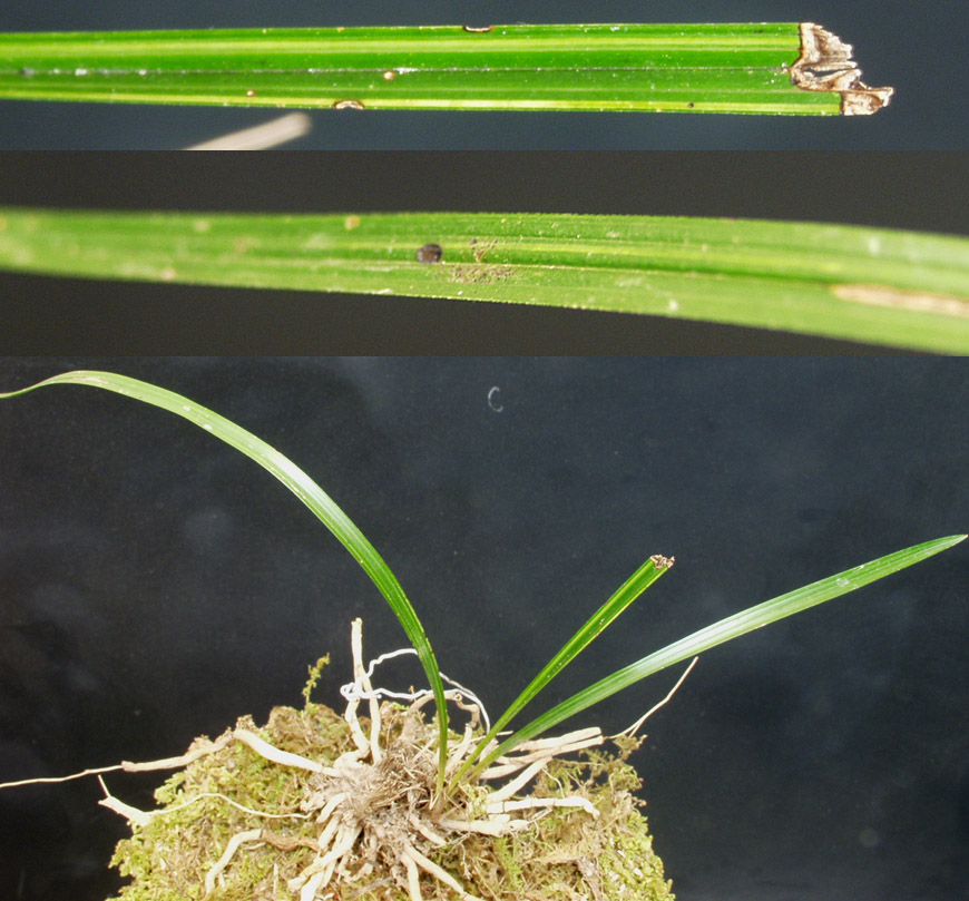 ������ ū������ �� �� �ֽ��ϴ�.