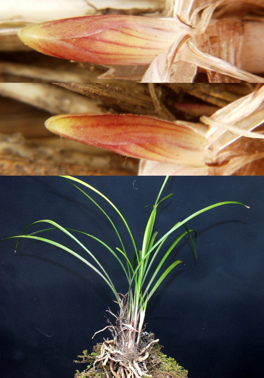 ������ ū������ �� �� �ֽ��ϴ�.