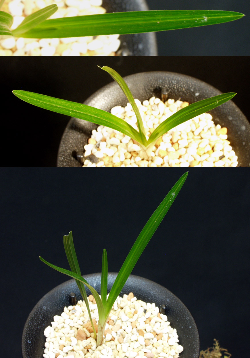 ������ ū������ �� �� �ֽ��ϴ�.