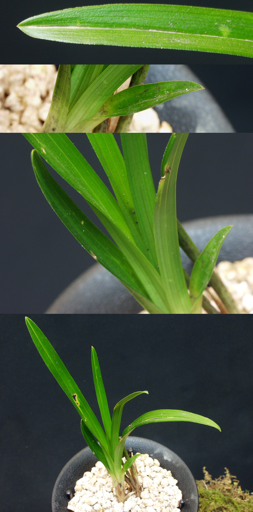 ������ ū������ �� �� �ֽ��ϴ�.