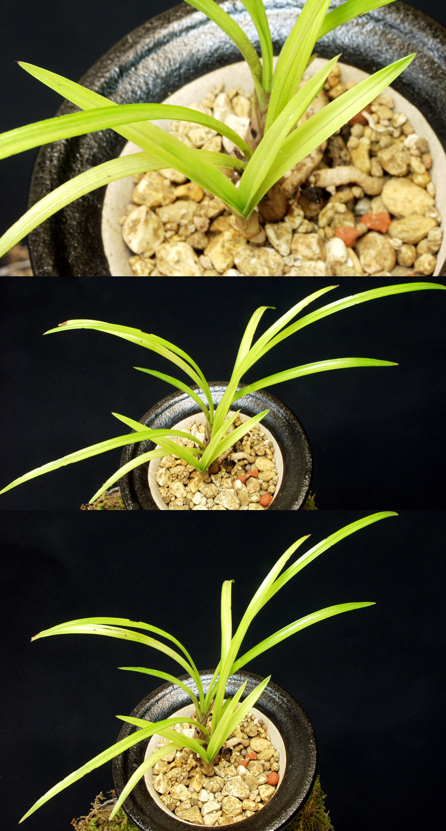 ������ ū������ �� �� �ֽ��ϴ�.