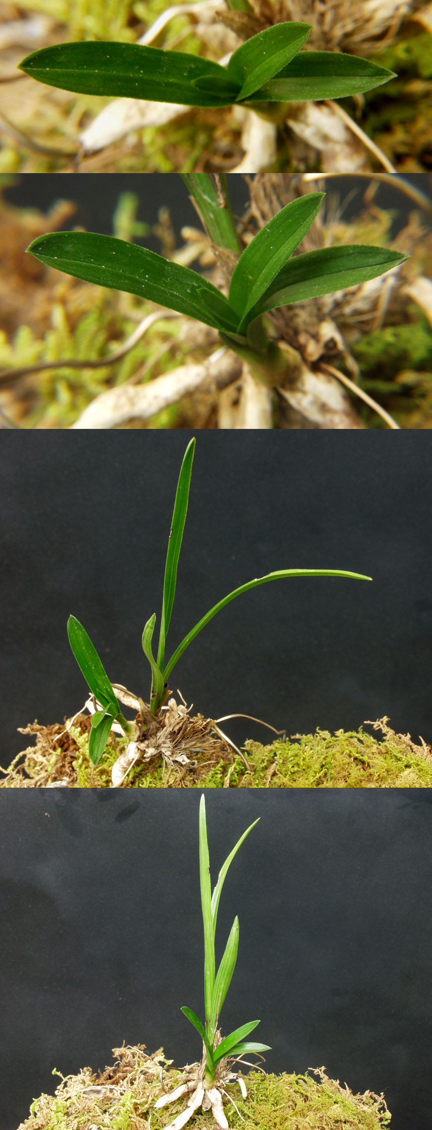 ������ ū������ �� �� �ֽ��ϴ�.