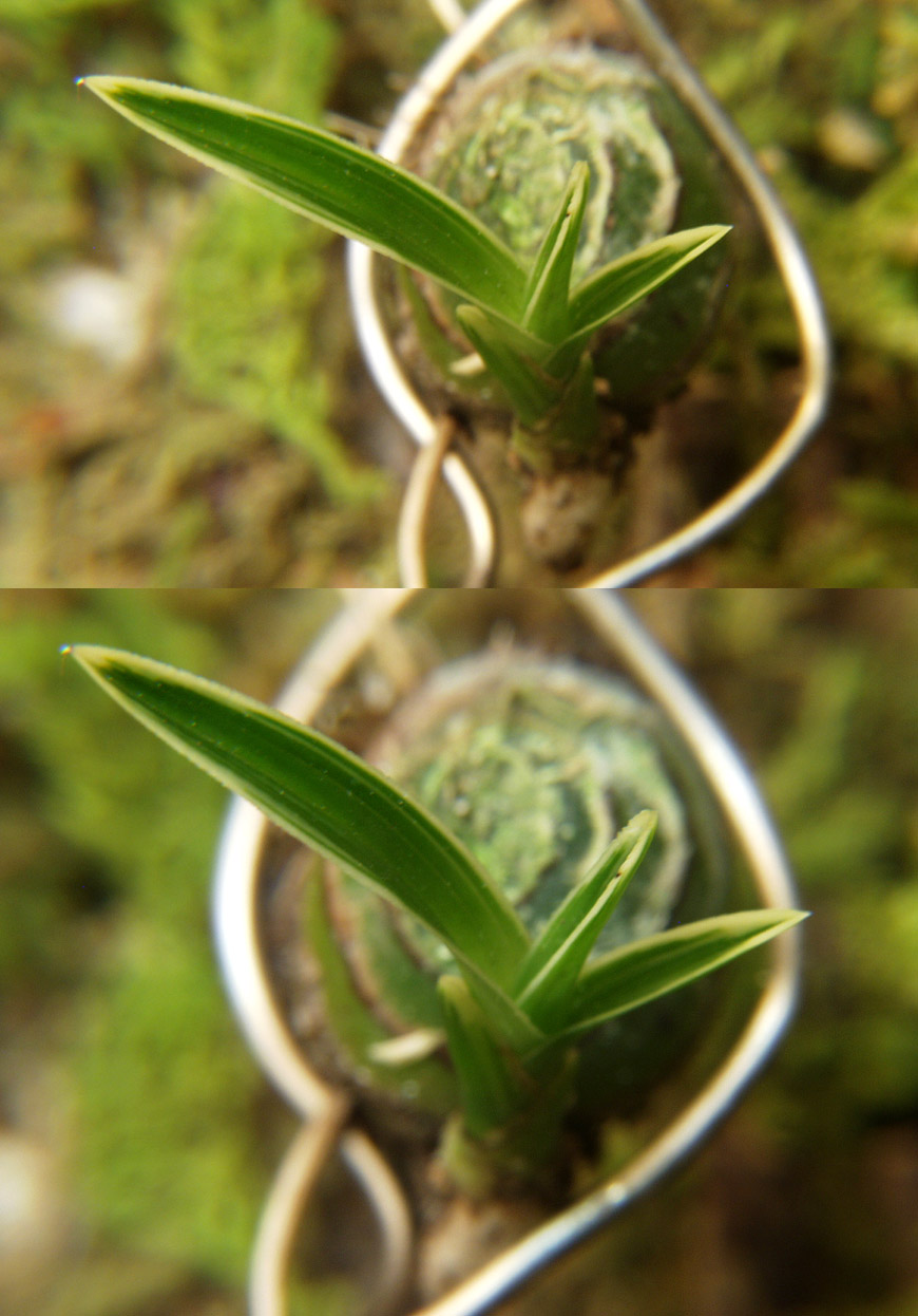 ������ ū������ �� �� �ֽ��ϴ�.