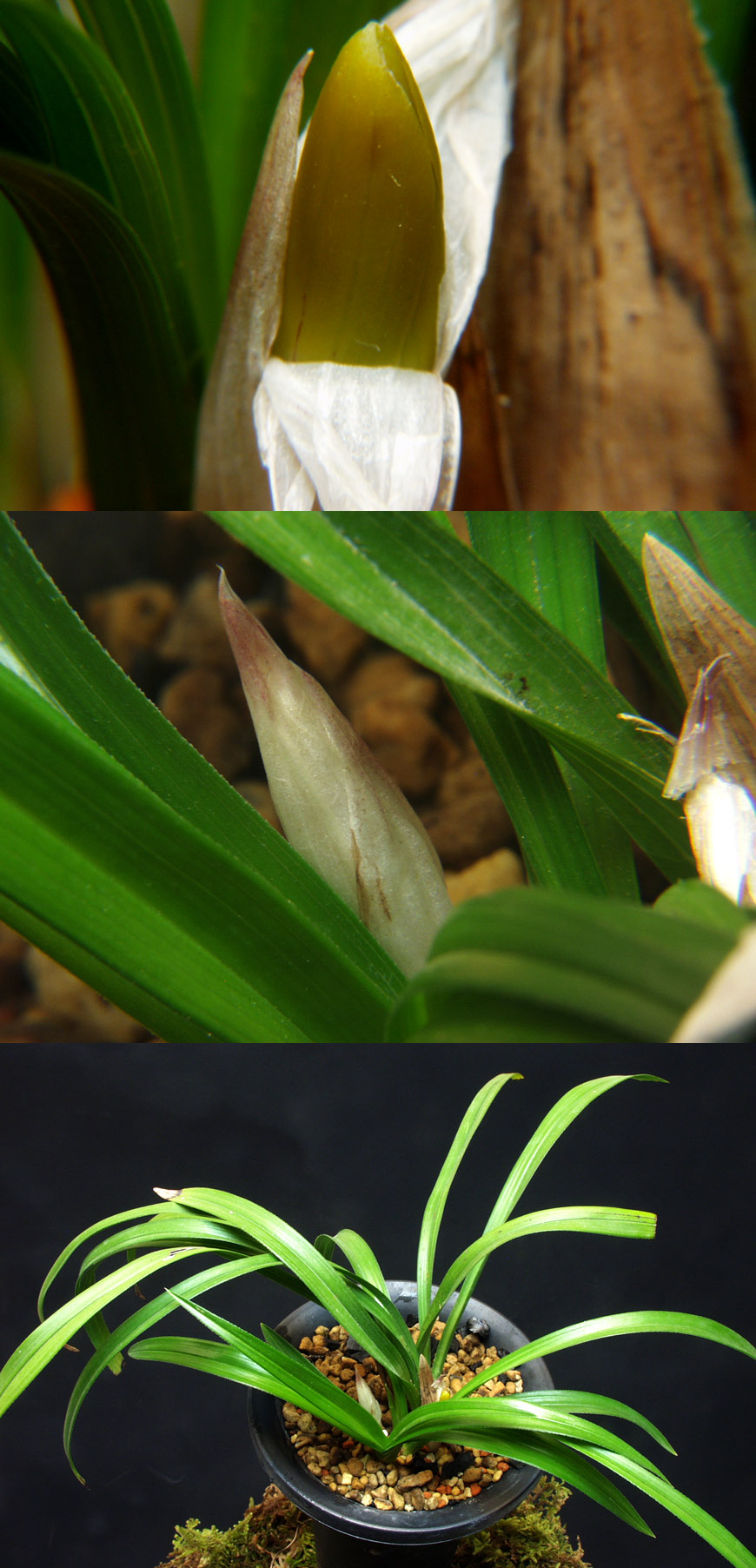 ������ ū������ �� �� �ֽ��ϴ�.