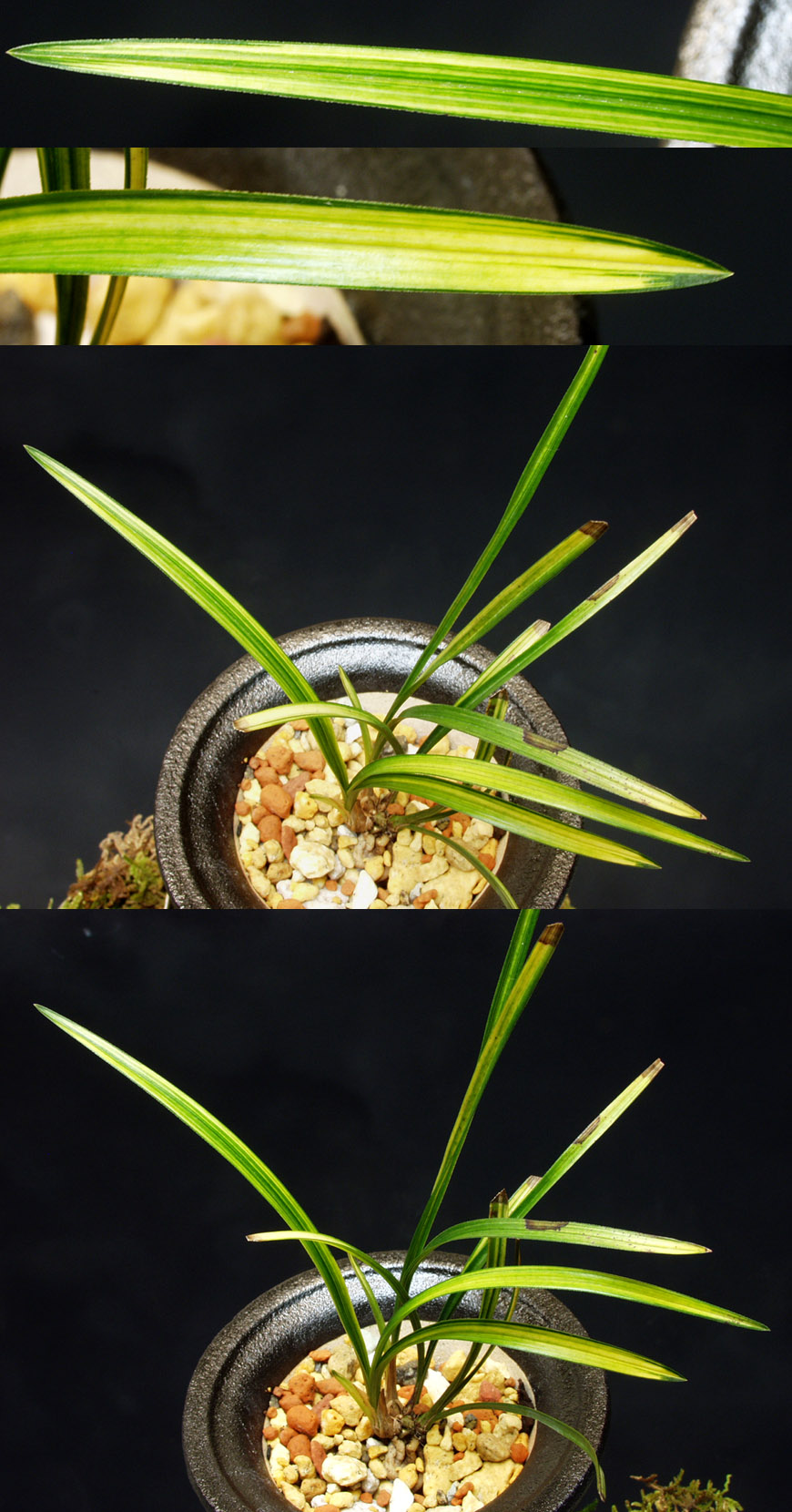 ������ ū������ �� �� �ֽ��ϴ�.