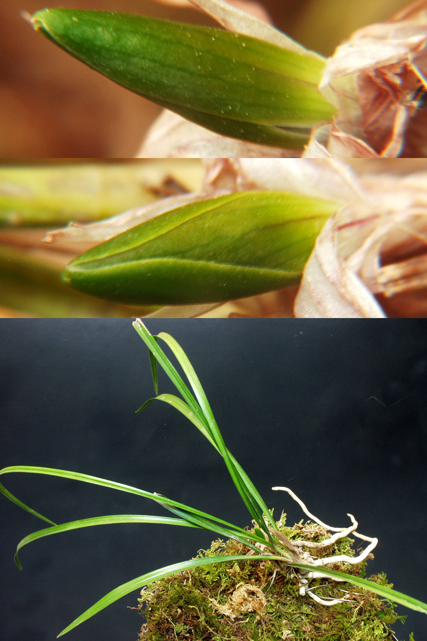 ������ ū������ �� �� �ֽ��ϴ�.