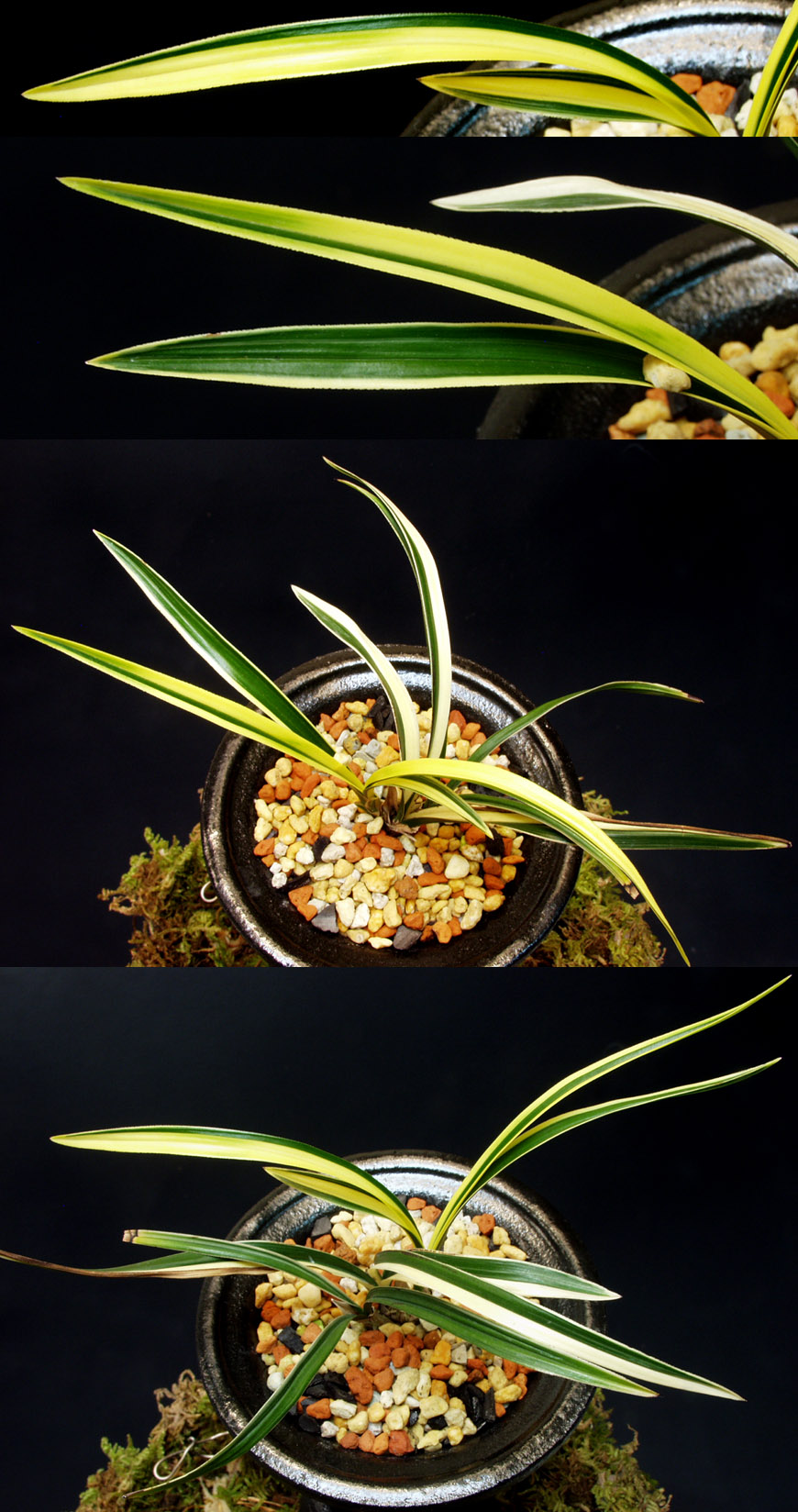 ������ ū������ �� �� �ֽ��ϴ�.