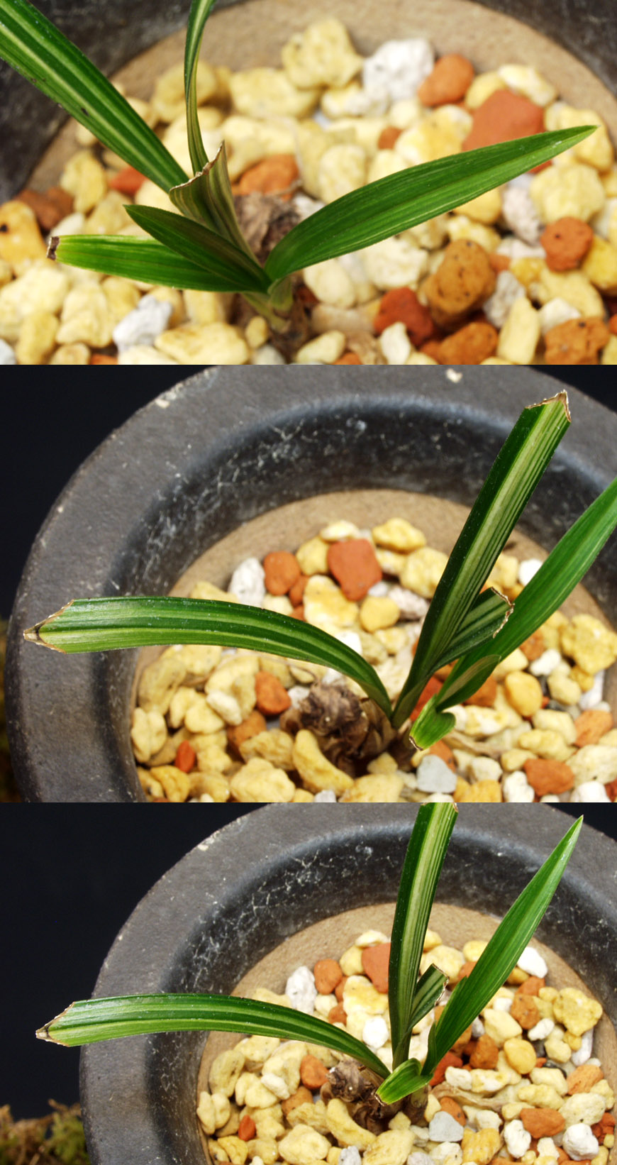 ������ ū������ �� �� �ֽ��ϴ�.