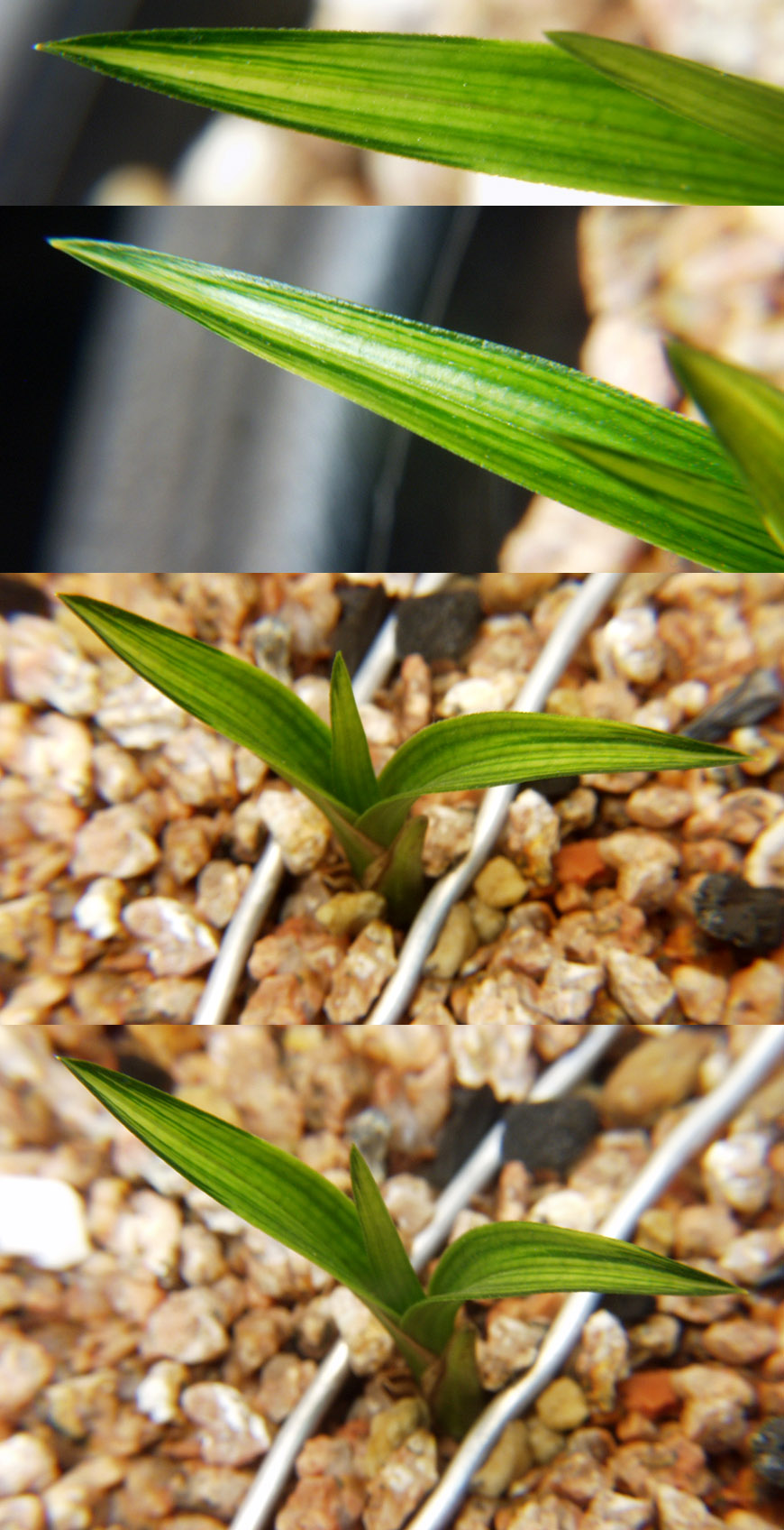 ������ ū������ �� �� �ֽ��ϴ�.