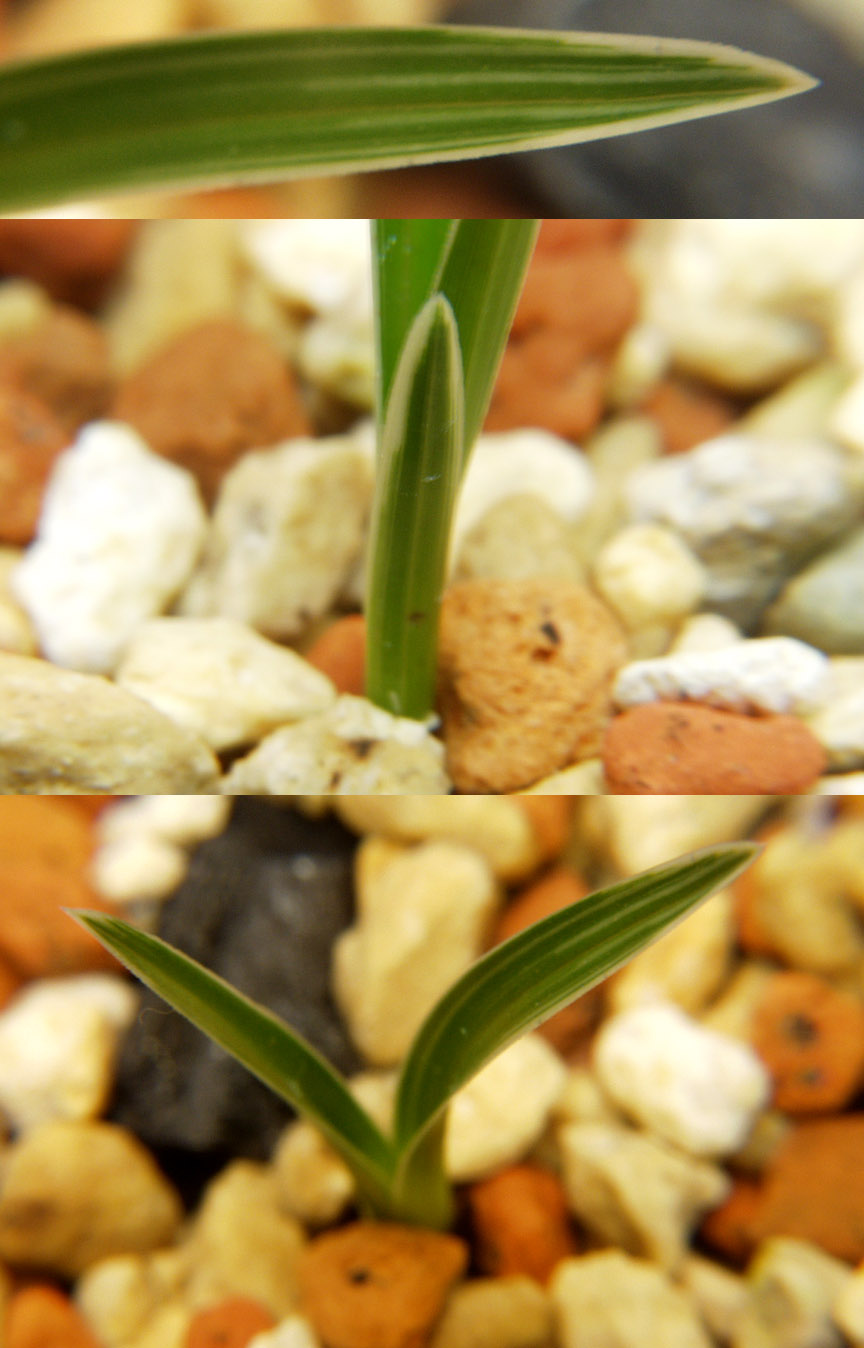 ������ ū������ �� �� �ֽ��ϴ�.