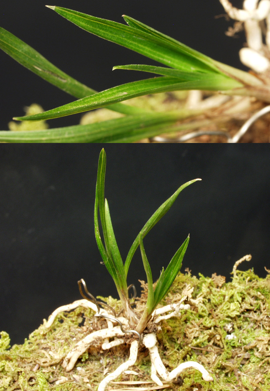 ������ ū������ �� �� �ֽ��ϴ�.