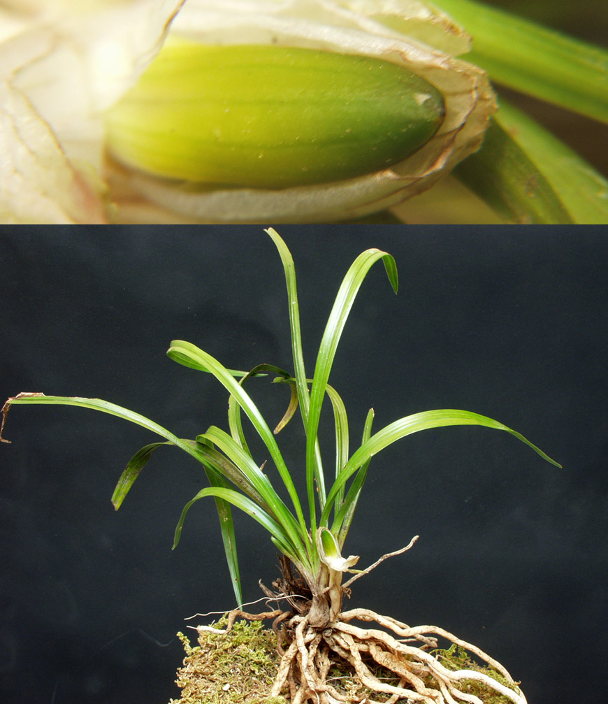 ������ ū������ �� �� �ֽ��ϴ�.