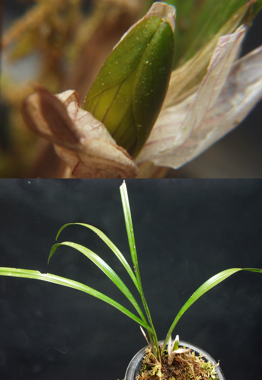 ������ ū������ �� �� �ֽ��ϴ�.