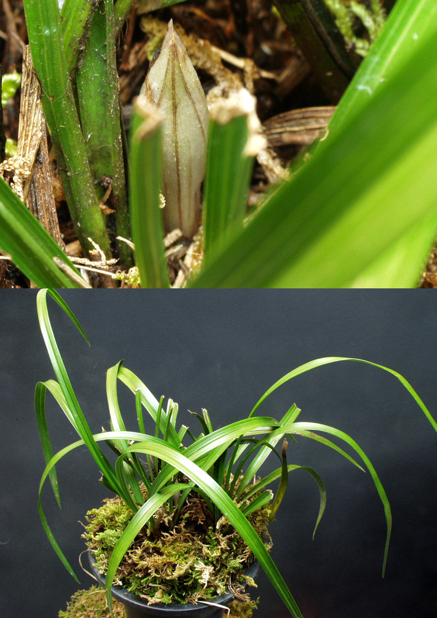 ������ ū������ �� �� �ֽ��ϴ�.