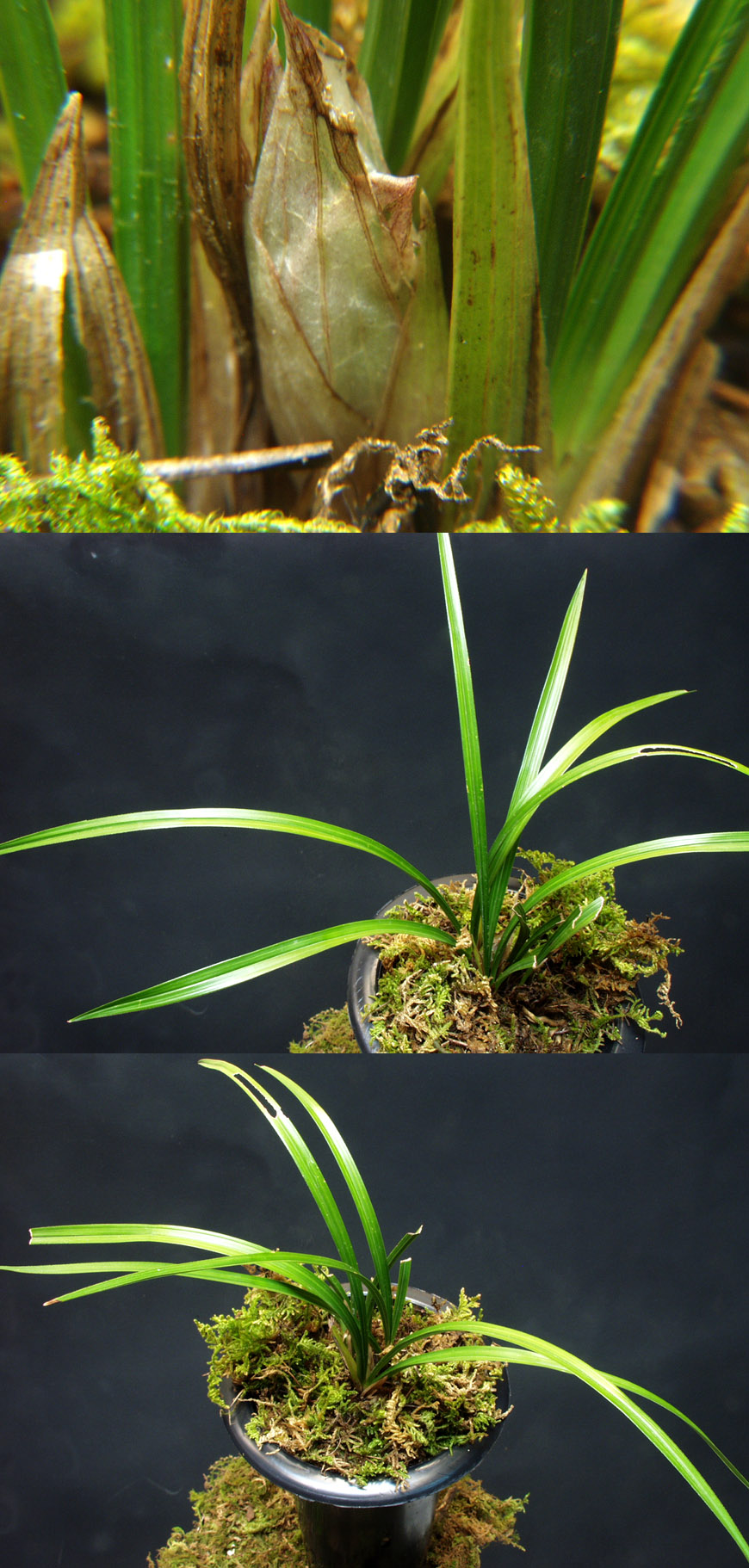 ������ ū������ �� �� �ֽ��ϴ�.