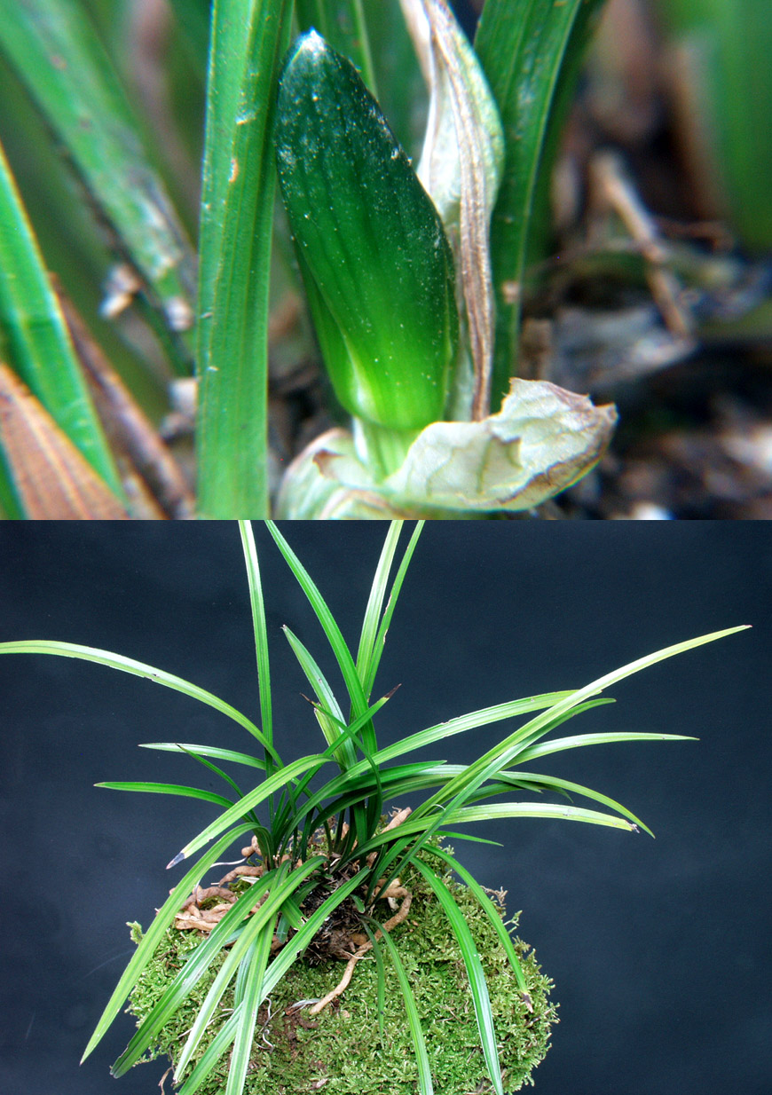 ������ ū������ �� �� �ֽ��ϴ�.