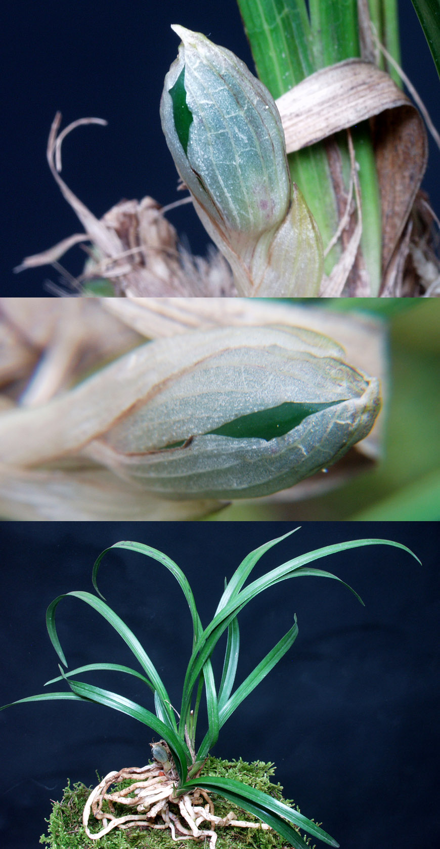 ������ ū������ �� �� �ֽ��ϴ�.